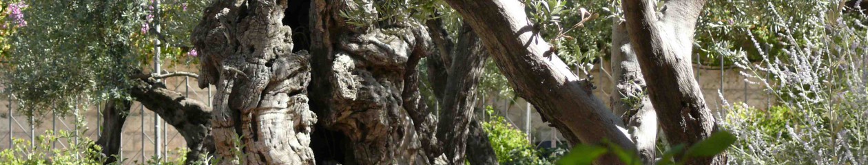 Chris and Lynda Johnson