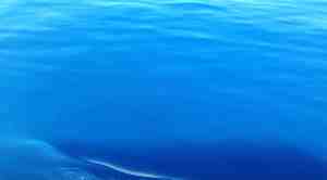 IMG_1435 - Version 2