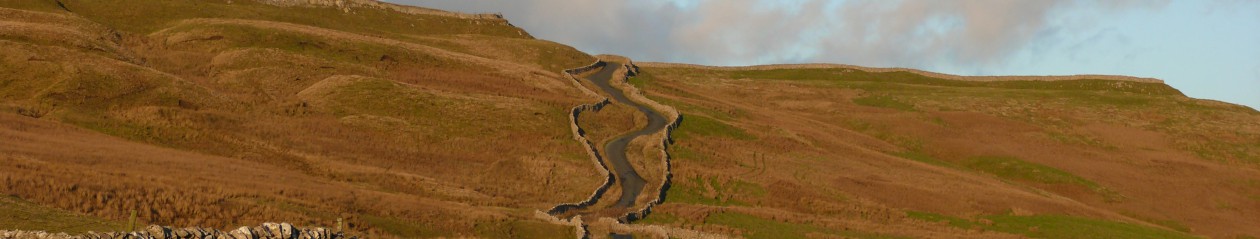 Chris and Lynda Johnson